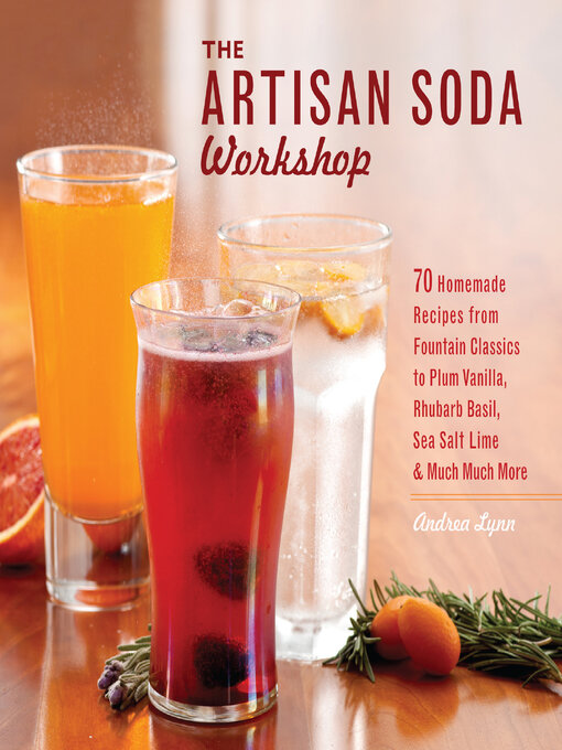 Title details for The Artisan Soda Workshop by Andrea Lynn - Wait list